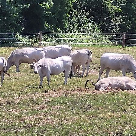 Agriturismo La Fornace Centro Ippico 코모 외부 사진