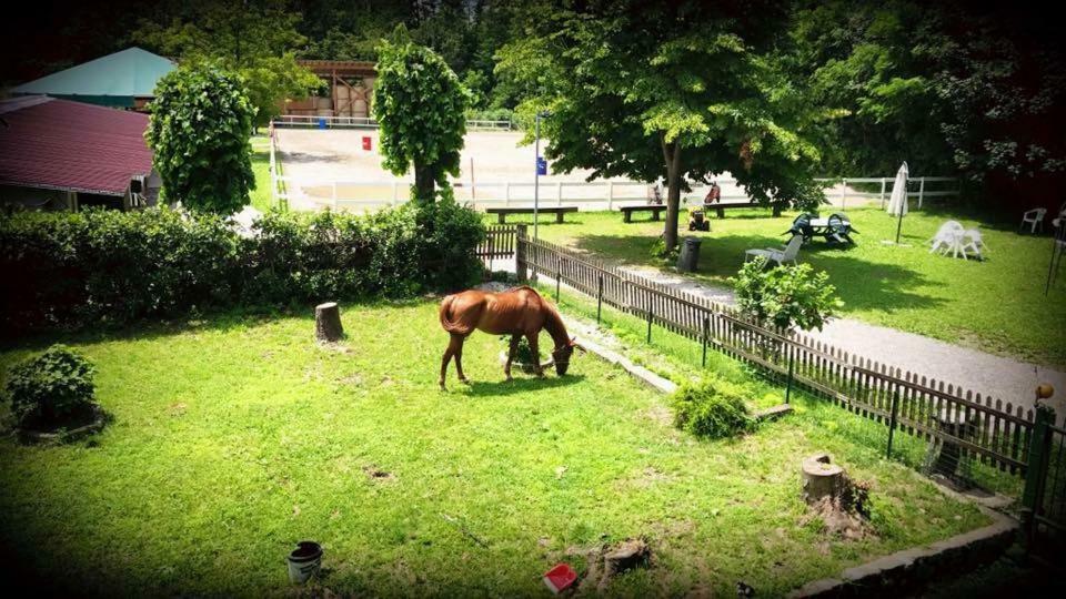 Agriturismo La Fornace Centro Ippico 코모 외부 사진
